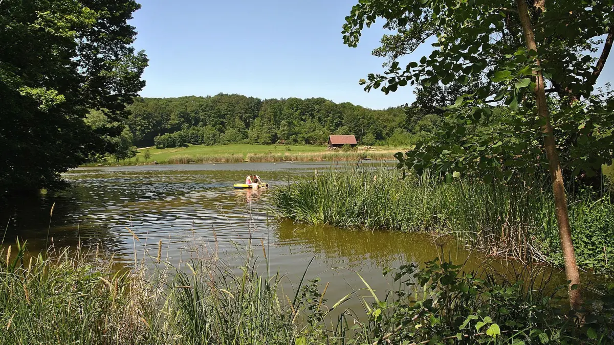 Der Neumühlsee ist ein malerisch gelegener Weiher bei Michelfeld im Landkreis Schwäbisch-Hall.