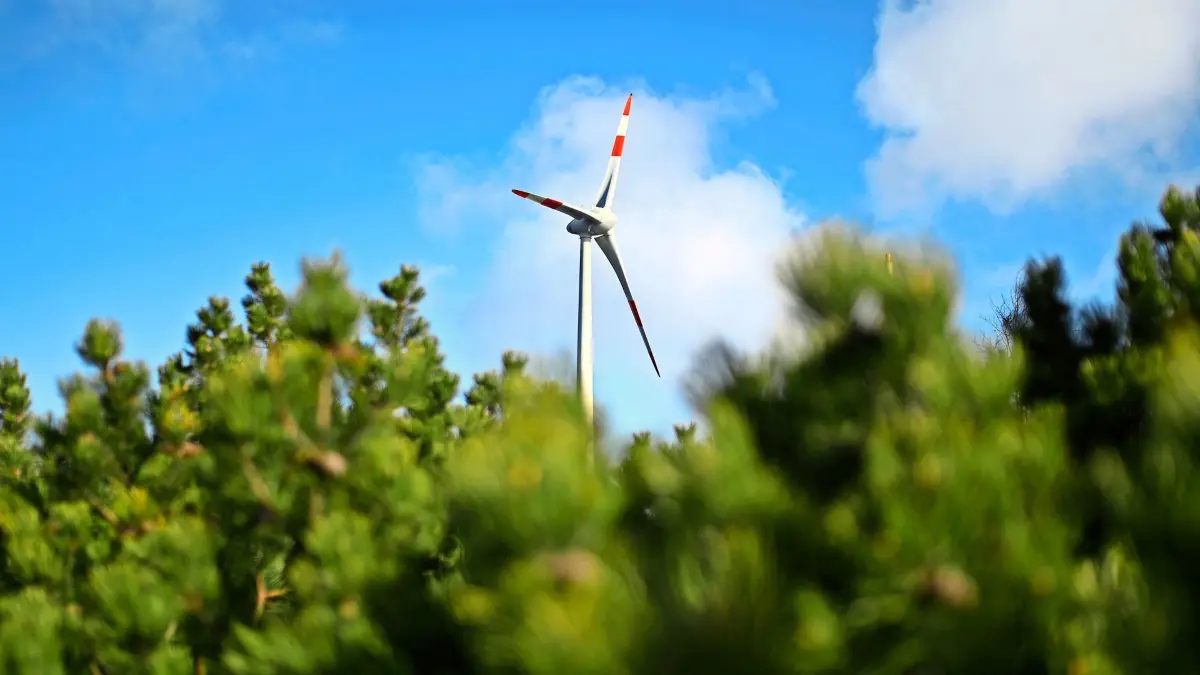 ARCHIV - 20.04.2021, Baden-Württemberg, Seebach: Auf der Hornisgrinde im Nordschwarzwald steht ein Windrad. Im Vordergrund ist ein Teil der Vegetation des Hochmoores zu sehen. (zu dpa: «Rotorblatt von Windrad abgebrochen») Foto: Uli Deck/dpa +++ dpa-Bildfunk +++