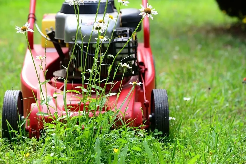 Rasen mähen im Frühjahr Ab wann ist es sinnvoll und wie oft soll man
