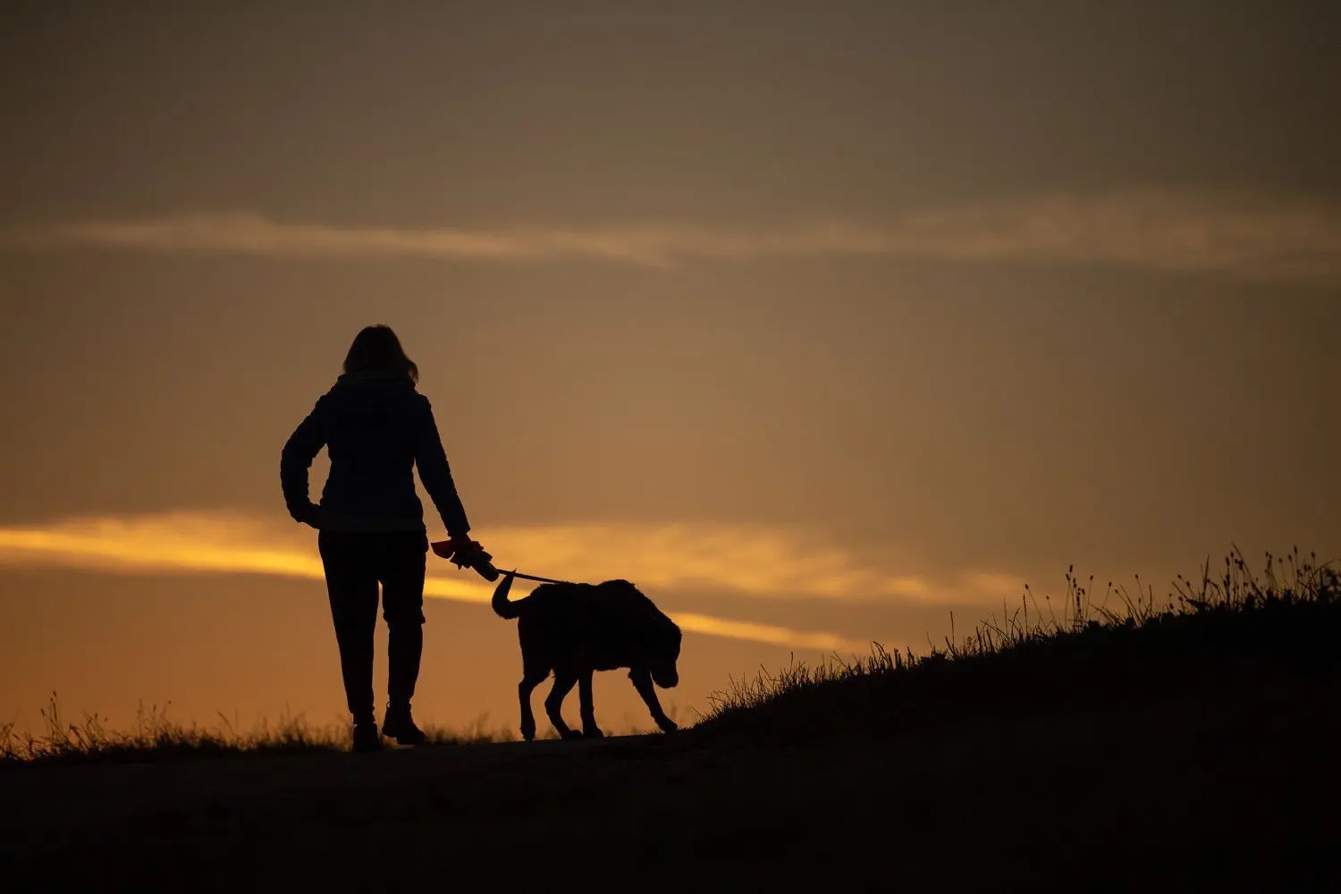 Gassi gehen mindestens zwei Mal am Tag eine Stunde: Das Agrarministerium plant neue Auflagen für Hundehalter und -züchter.