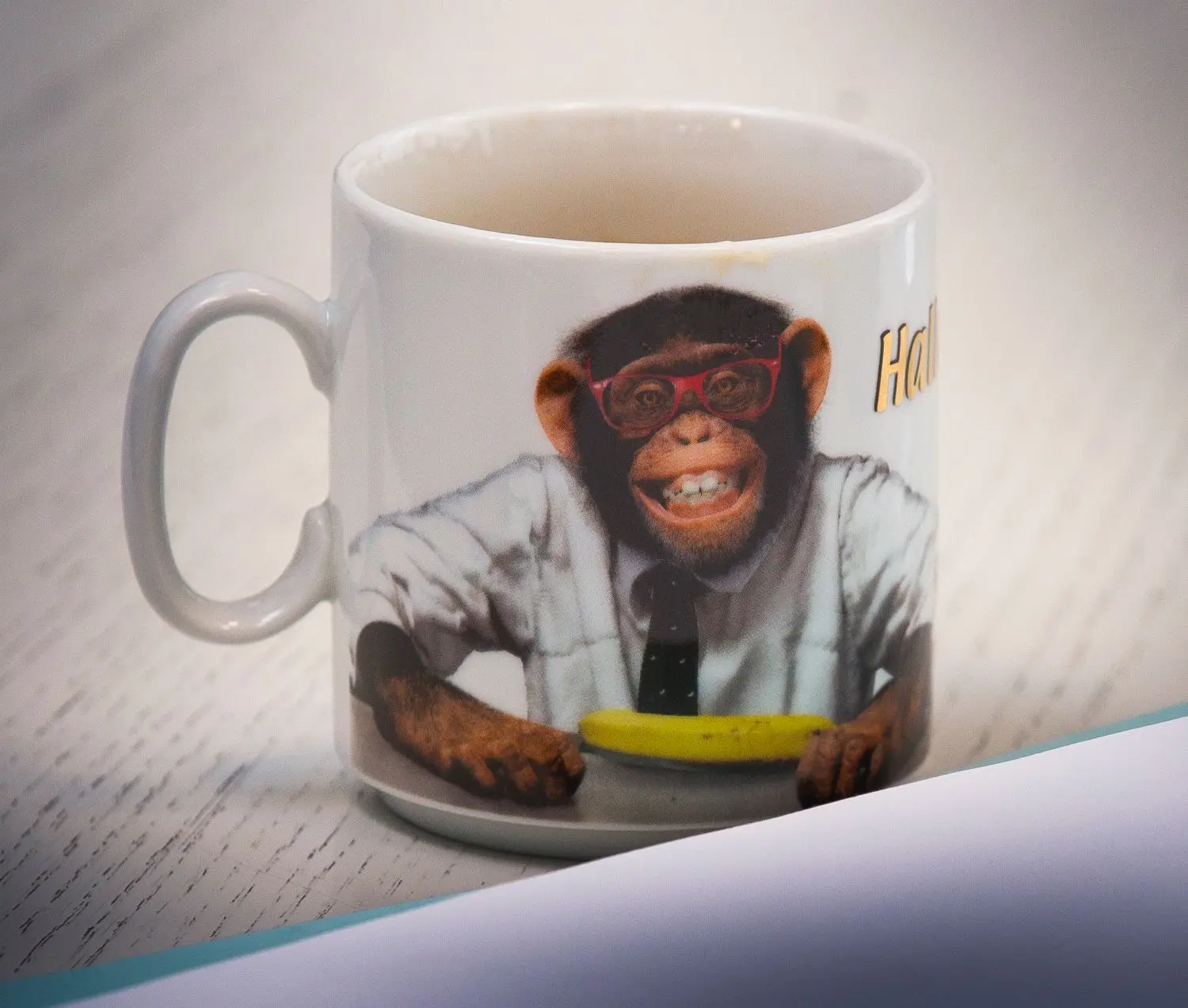 Das Firmenmaskottchen, mit dem Trigema seit 30 Jahren Werbung macht.