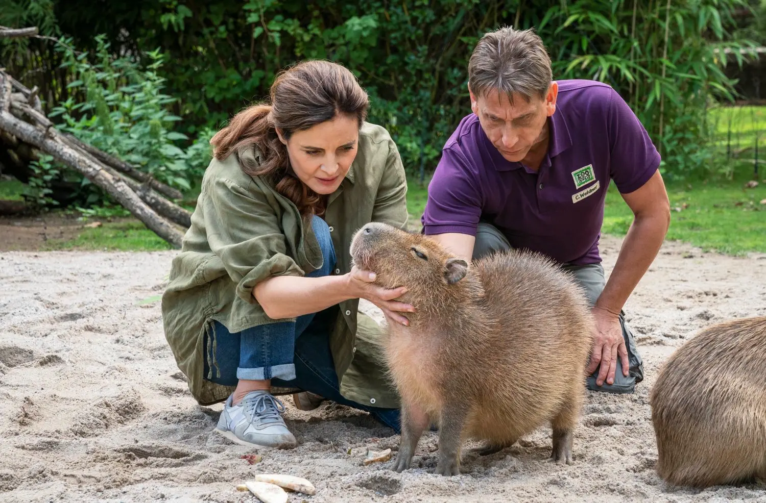 Verschwunden In Lørenskog Wie Viele Folgen Tierärztin Dr. Mertens: Wie viele Folgen hat Staffel 8? | swp.de