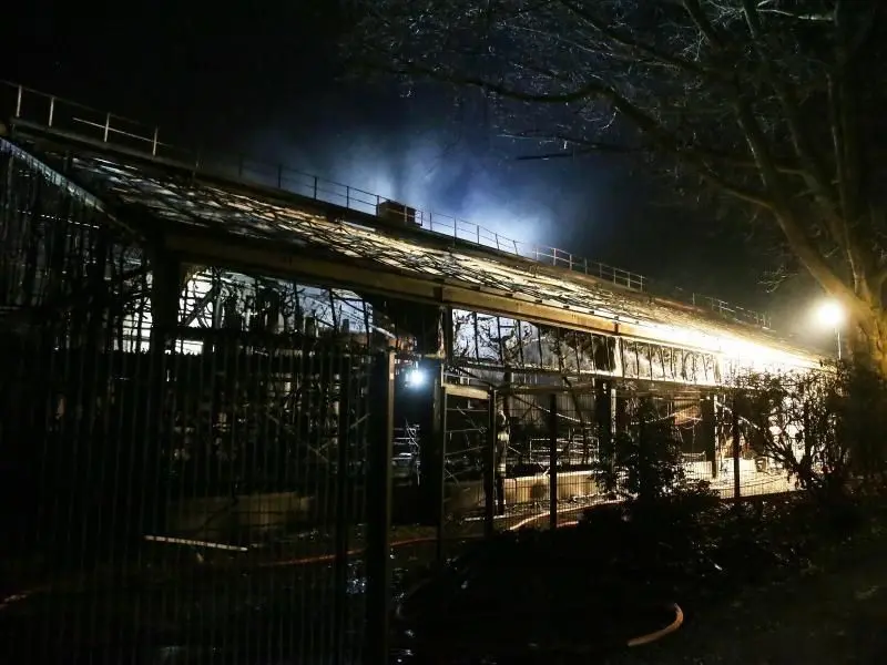 Das Affenhaus des Krefelder Zoos nach dem Brand in der Silvesternacht.