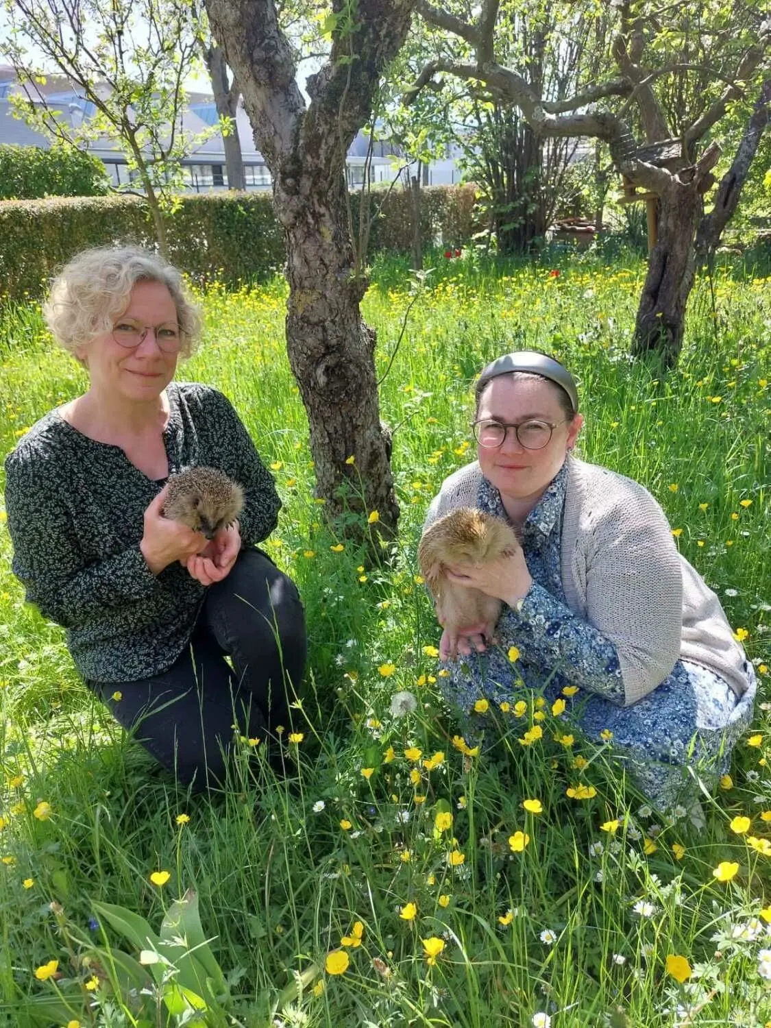 Melanie Bauer und Sabine Christner von der Igelstation Riederich pflegen liebevoll verletzte und schwache Igel.