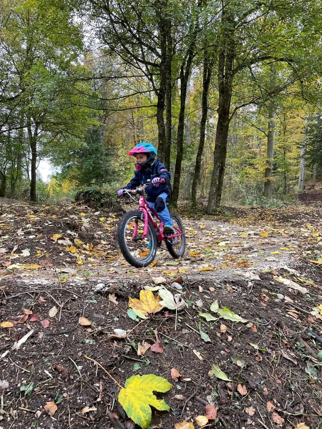 Auf dem neuen albbike-Trailspielplatz beim Waldheim in Ebingen kann man viel Spaß haben.⇥