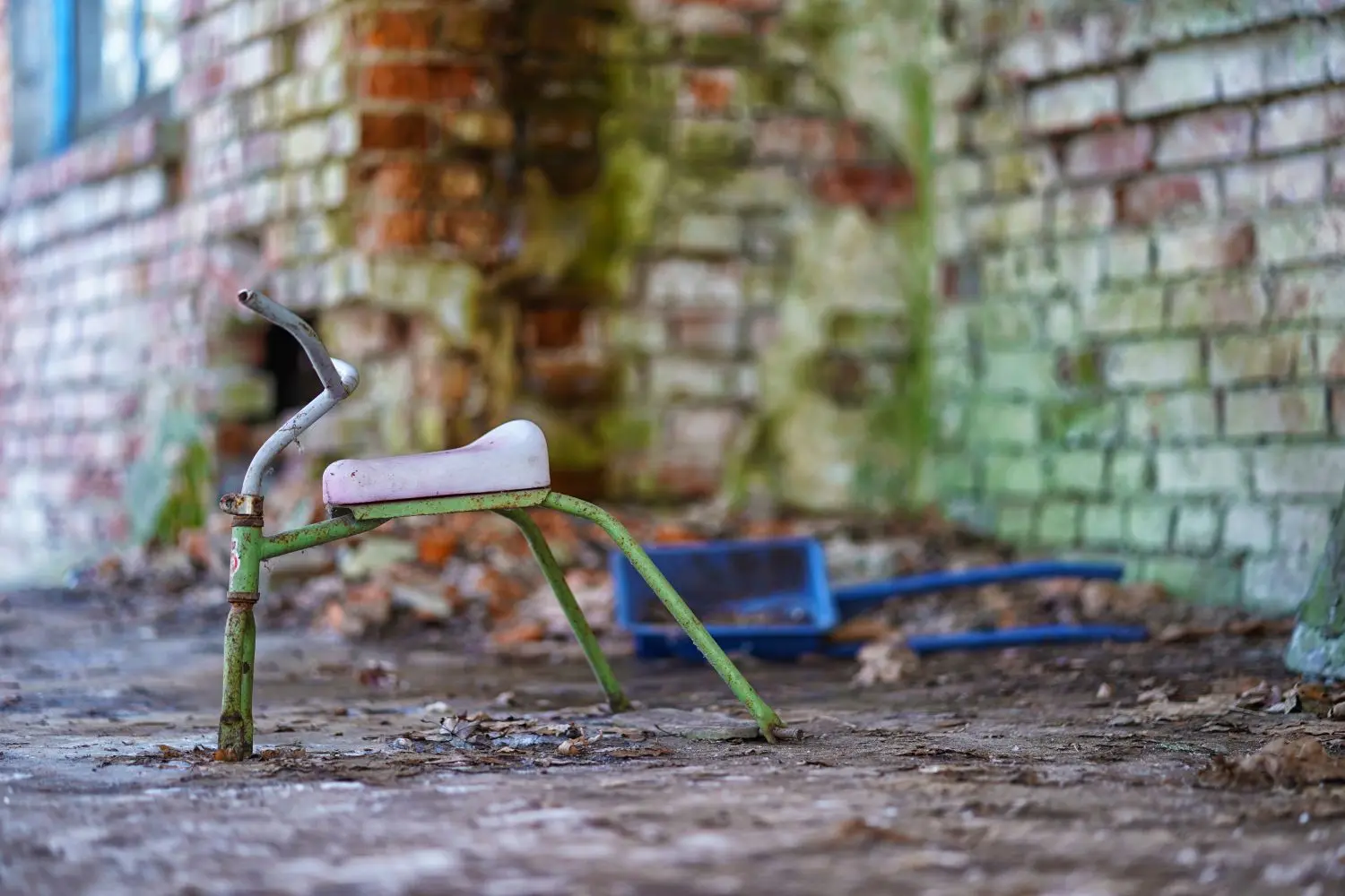 In der 30 Kilometer umfassenden Sperrzone um Tschernobyl steht das Leben still.