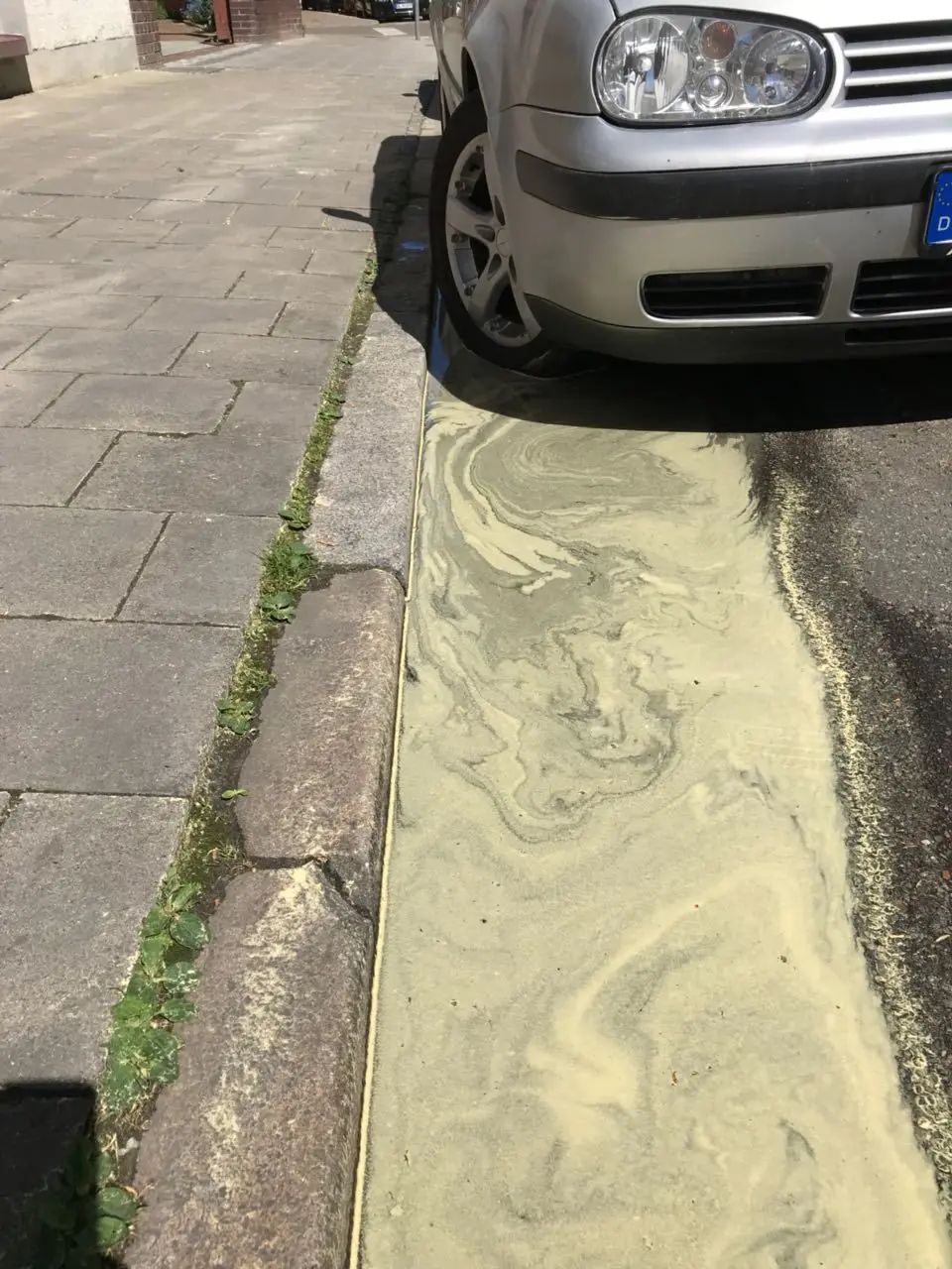 Regen hat den gelben Pollenstaub zum Teil weggeschwemmt.