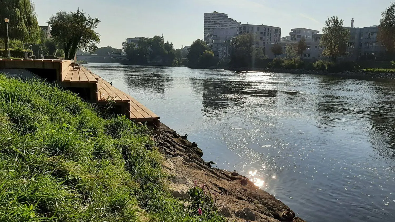 Die Sitzstufen auf Höhe der Donauwiese sind derzeit weit über der Wasseroberfläche.