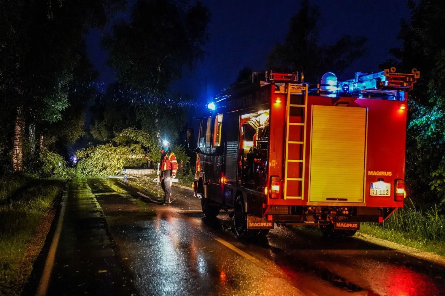 Nächtlicher Einsatz bei Rißtissen: Allerorten musste die Feuerwehr Bäume von Straßen räumen.