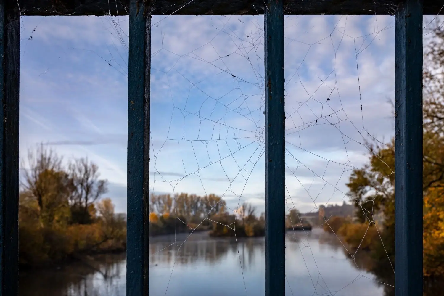 Ein Spinnennetz an der Donaubrücke bei Gamerschwang.