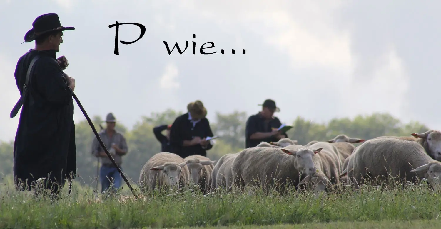 P wie... Preishüten.