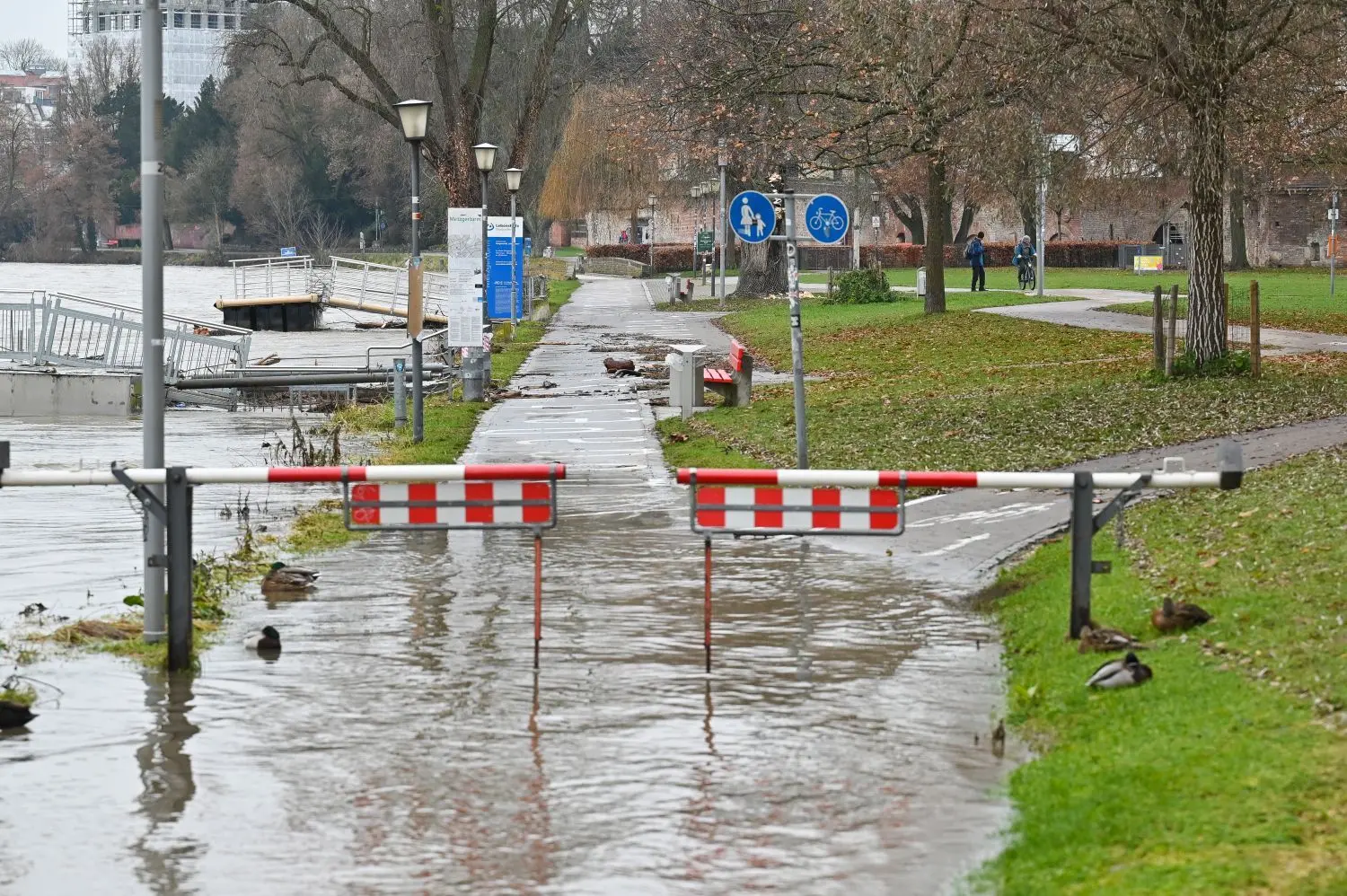 Der Dauerregen der vergangenen Tage hat den Pegel mehrerer Flüsse im Südwesten anschwellen lassen.In Ulm ist der Radweg gesperrt.