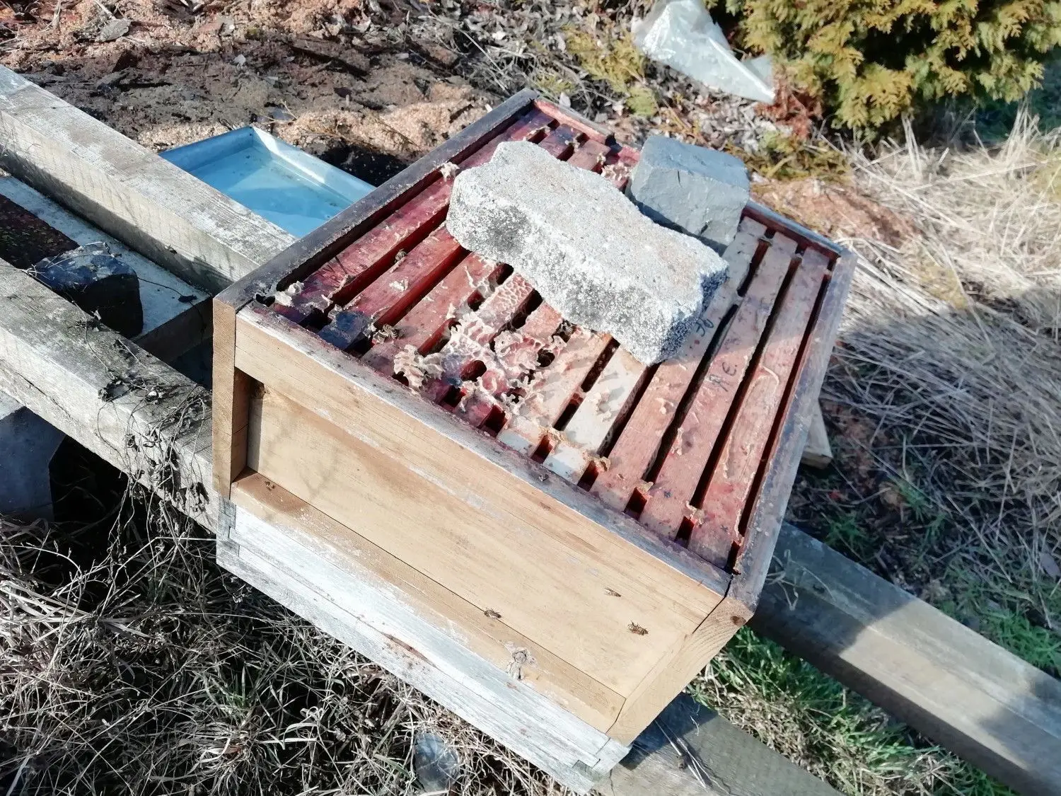 Mit Betonsteinen wurden die Insekten erschlagen.⇥