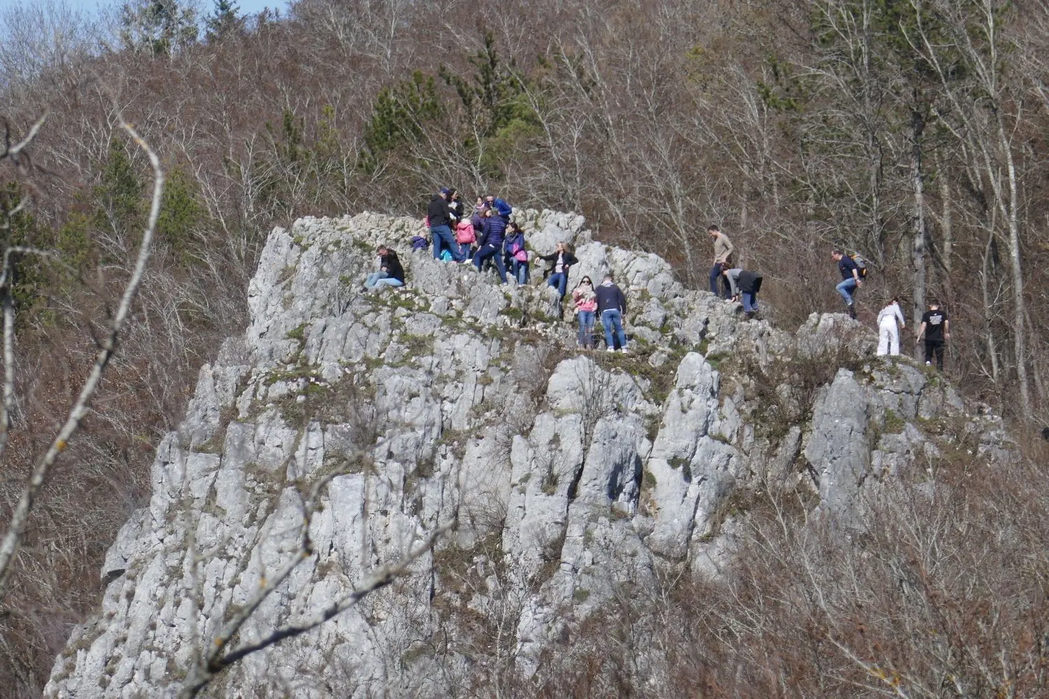 Der Knoblauchfels bei Blaubeuren ist ein exponierter Aussichtspunkt. Derzeit betreten ihn so viele Besucher wie nie zuvor, was der Vegetation schadet. Ein Lenkungskonzept scheint nötig.⇥