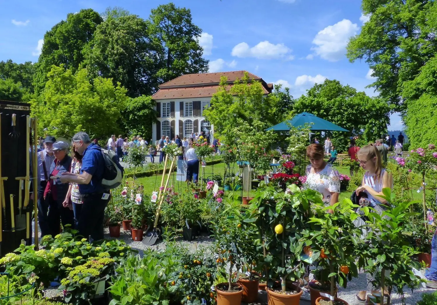 Bei der Haus- und Gartenausstellung auf Schloss Hohenstadt sorgten die fast 80 Aussteller für ein vielfältiges Spektrum an Kunst, Dekorationsartikeln und vielem Nützlichen – auch für den heimischen Garten.⇥