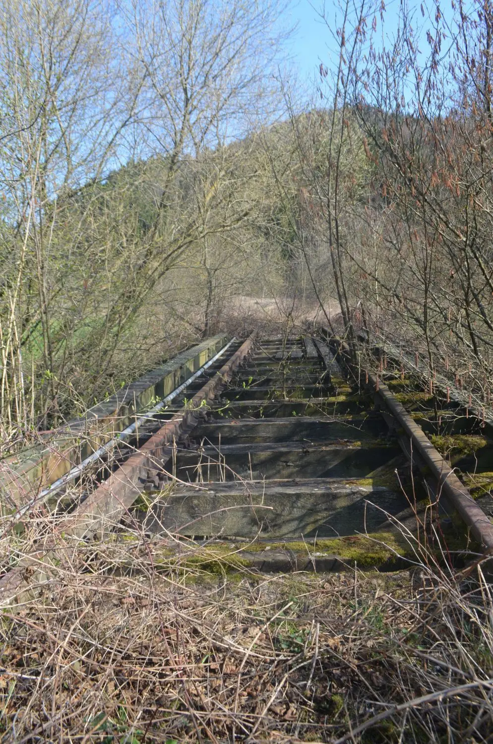 Im dichten Gestrüpp verschwinden die Gleise der Oberen Kochertalbahn. Auf dieser Brücke wurde einst der Zusammenfluss von Steigersbach und Osterbach überquert.⇥