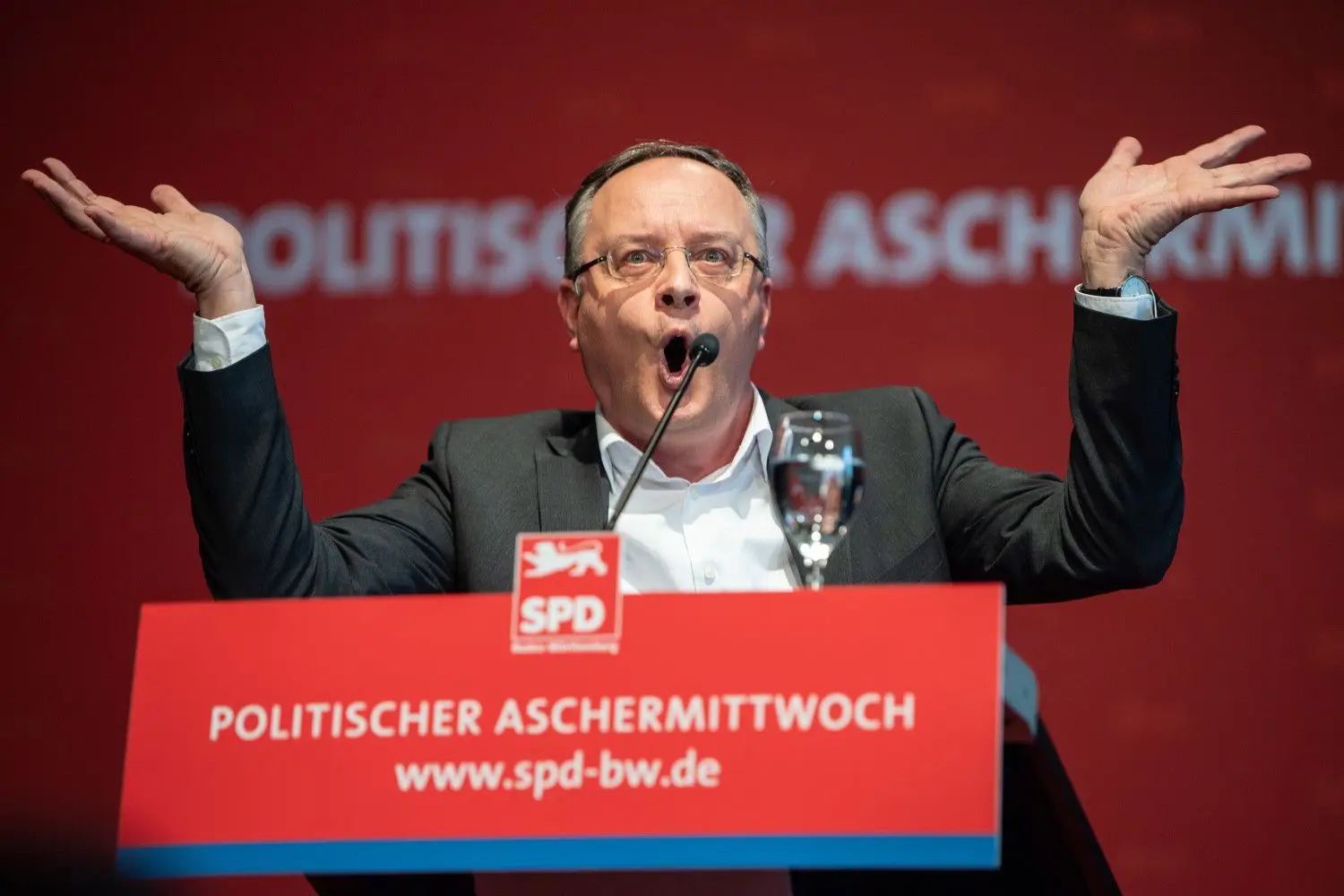 SPD-Landeschef Andreas Stoch.