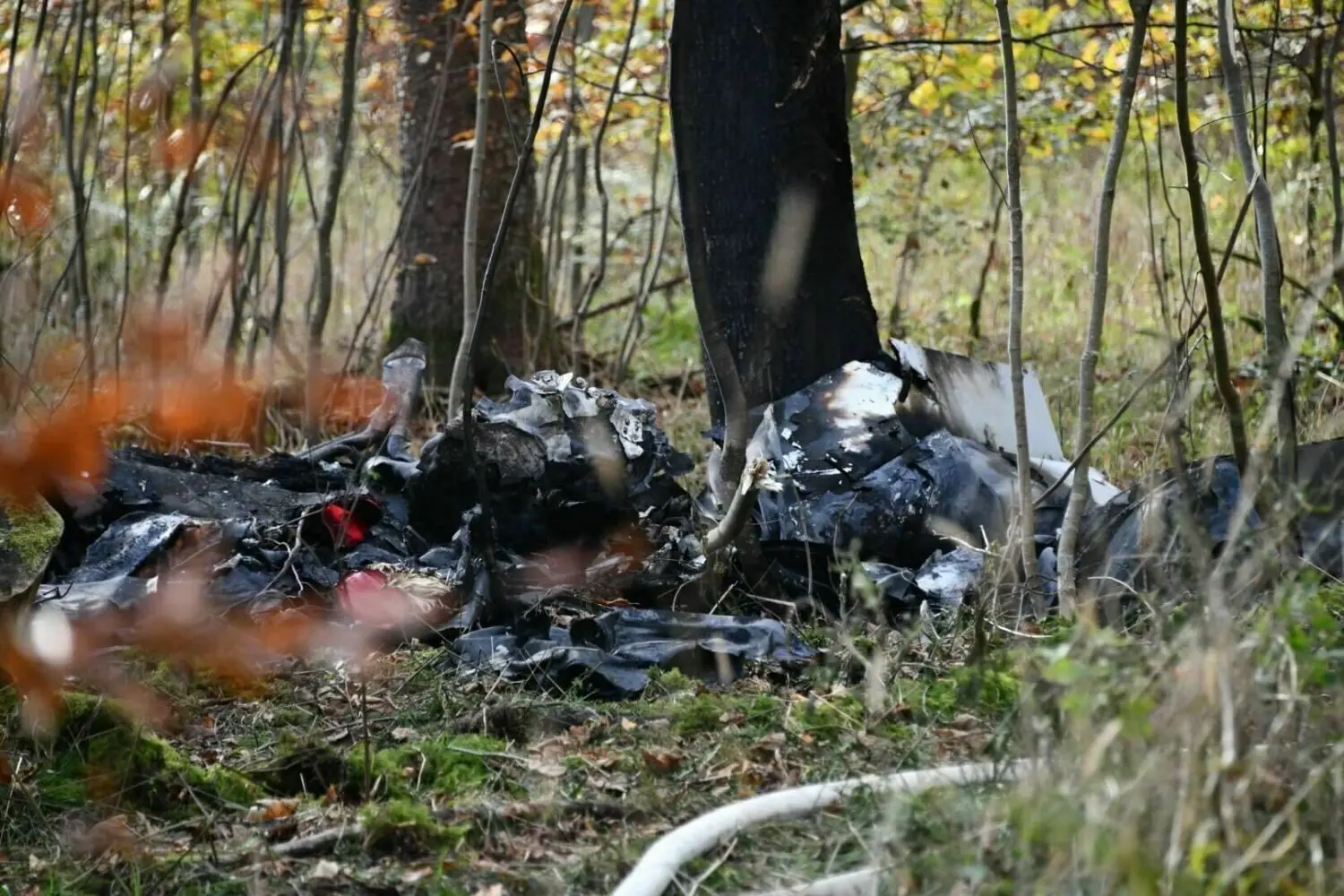 Die Trümmer des abgestürzten Kleinflugzeugs im Wald bei Zähringen.