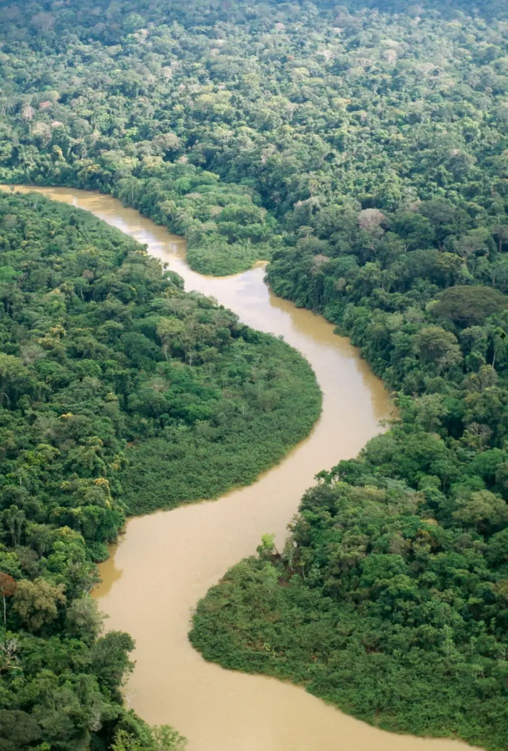 Nicht nur in Brasilien ist der Bestand des Amazonas gefährdet. Brandrodungen setzen dem Regenwald zu. Das bedroht auch die Ureinwohner der Region.