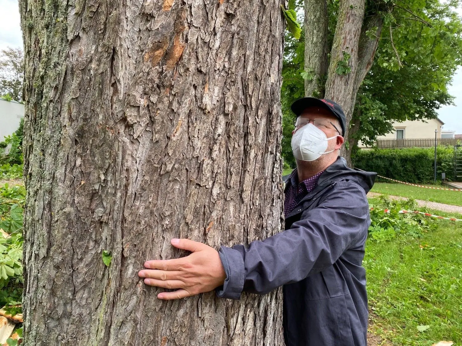 Munderkingens Bürgermeister Michael Lohner mit der rund 200 Jahre alten Kastanie im Bürgerpark, die der Sturm köpfte. Er kann den Stamm des Baumes nicht einmal zur Hälfte umfassen.