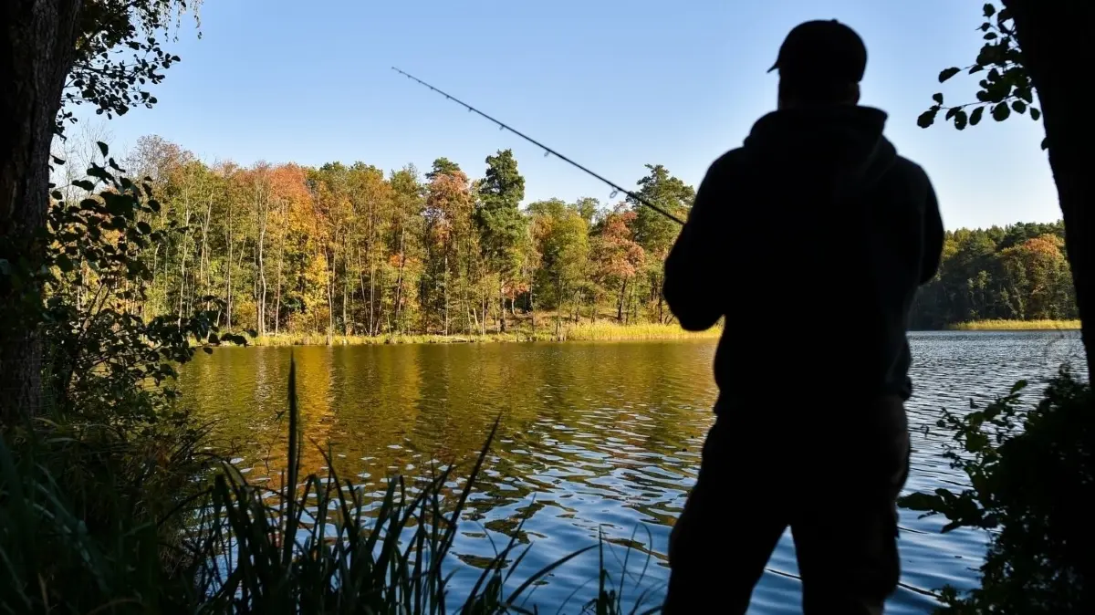 Teurer Angelausflug in Marwitz. Zwei Männer angelten ohne Angelschein und landeten auf der Anklagebank. Das Gericht in Oranienburg verhängte hohe Strafen.
Ein Angler versucht mit einer Spinnangel am 17.10.2017 am Trepliner See nahe Treplin (Brandenburg) einen Hecht oder Barsch zu fangen. Foto: Patrick Pleul/dpa-Zentralbild/ZB +++(c) ZB-FUNKREGIO OST - Honorarfrei nur für Bezieher des ZB-Regiodienstes+++ +++ dpa-Bildfunk +++