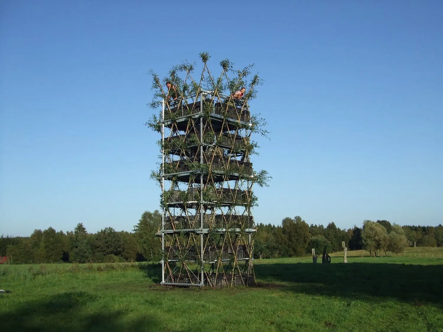 Von der Fachwelt bestaunt: Am Baumturm in Pfullendorf erproben Wissenschaftler die Verbindung von Pflanzen und Baustoffen.  Der erste Anlauf mit Weiden schlug fehl.