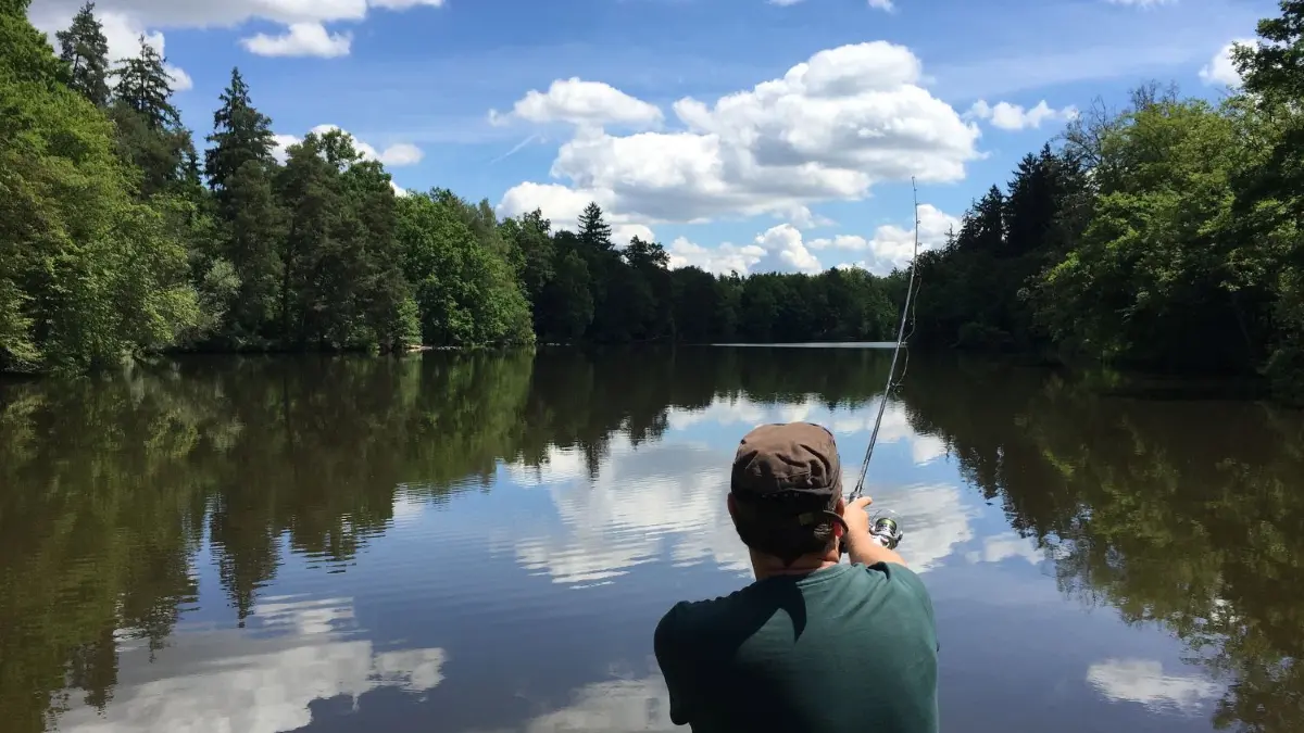 Ein Angler wartet auf den nächsten Fisch.
Ein Angler sitzt bei strahlendem Sonnenschein am 20.06.2016 an den Bärenseen vor den Toren der Landeshauptstadt Stuttgart (Baden-Württemberg). Foto: Marijan Murat/dpa +++(c) dpa - Bildfunk+++ | Verwendung weltweit
Download am 05.04.2019 für SWUM