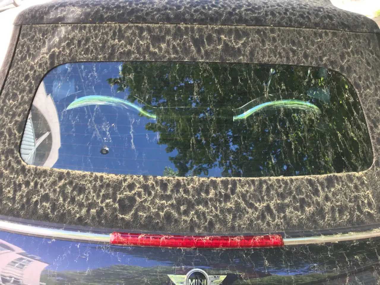 Die Heckscheibe des Autos ist teilweise vom Pollenstaub befreit. Vermutlich haben die Scheibenwischer den Staub beseitigt.