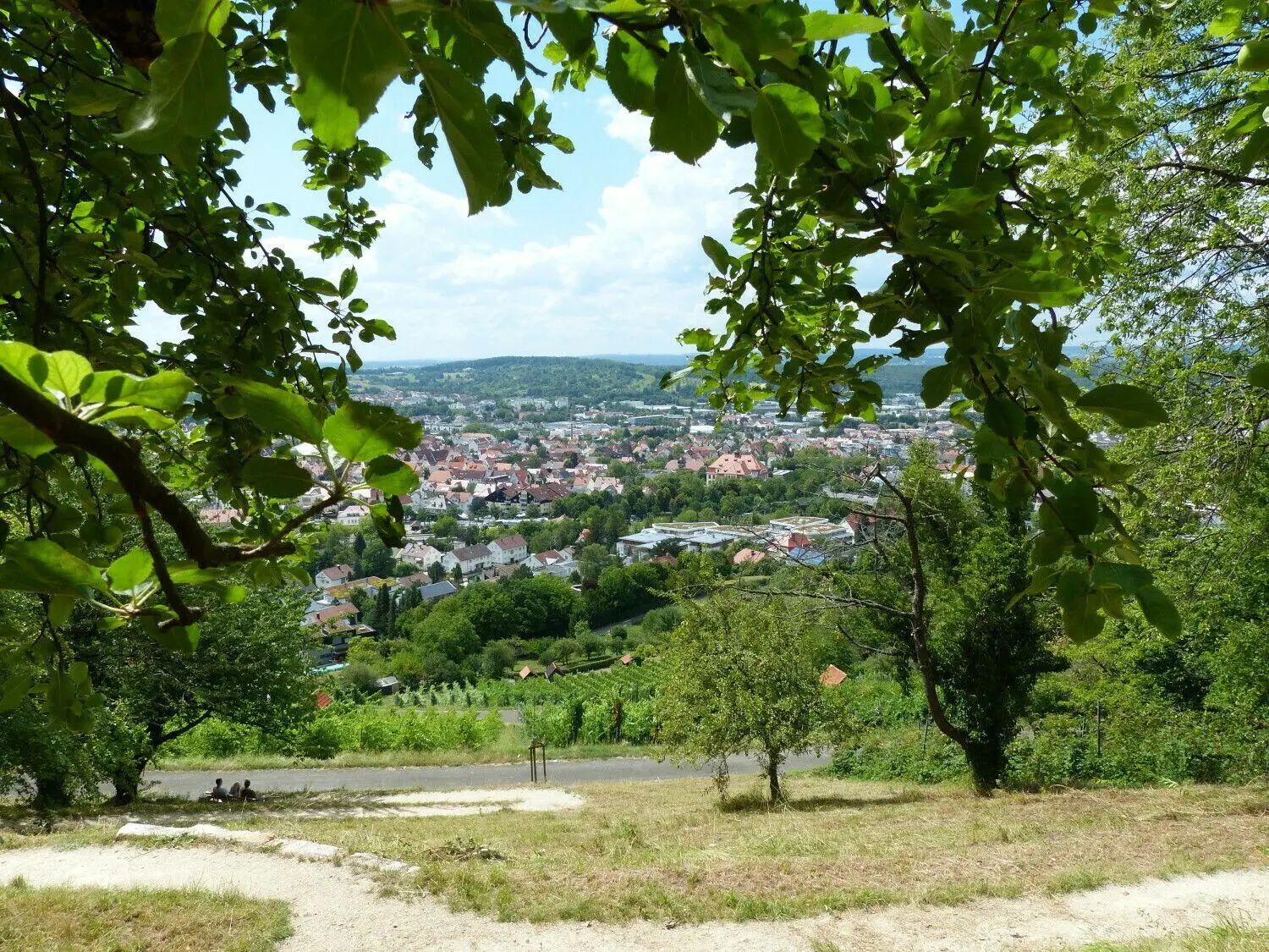 Der Ausblick von der Hängematte ist formidabel: Am Herlishäusle kann man sich in die Tiefenentspannung schaukeln.