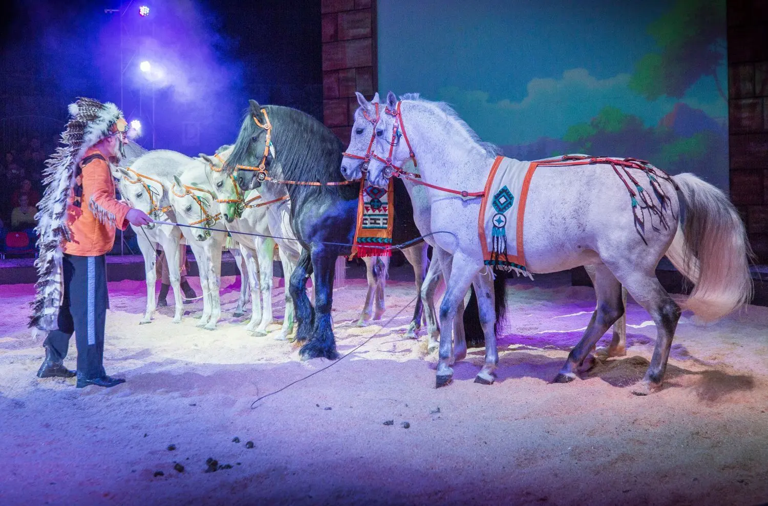 Pferdeshow "Yakari und Kleiner Donner"⇥