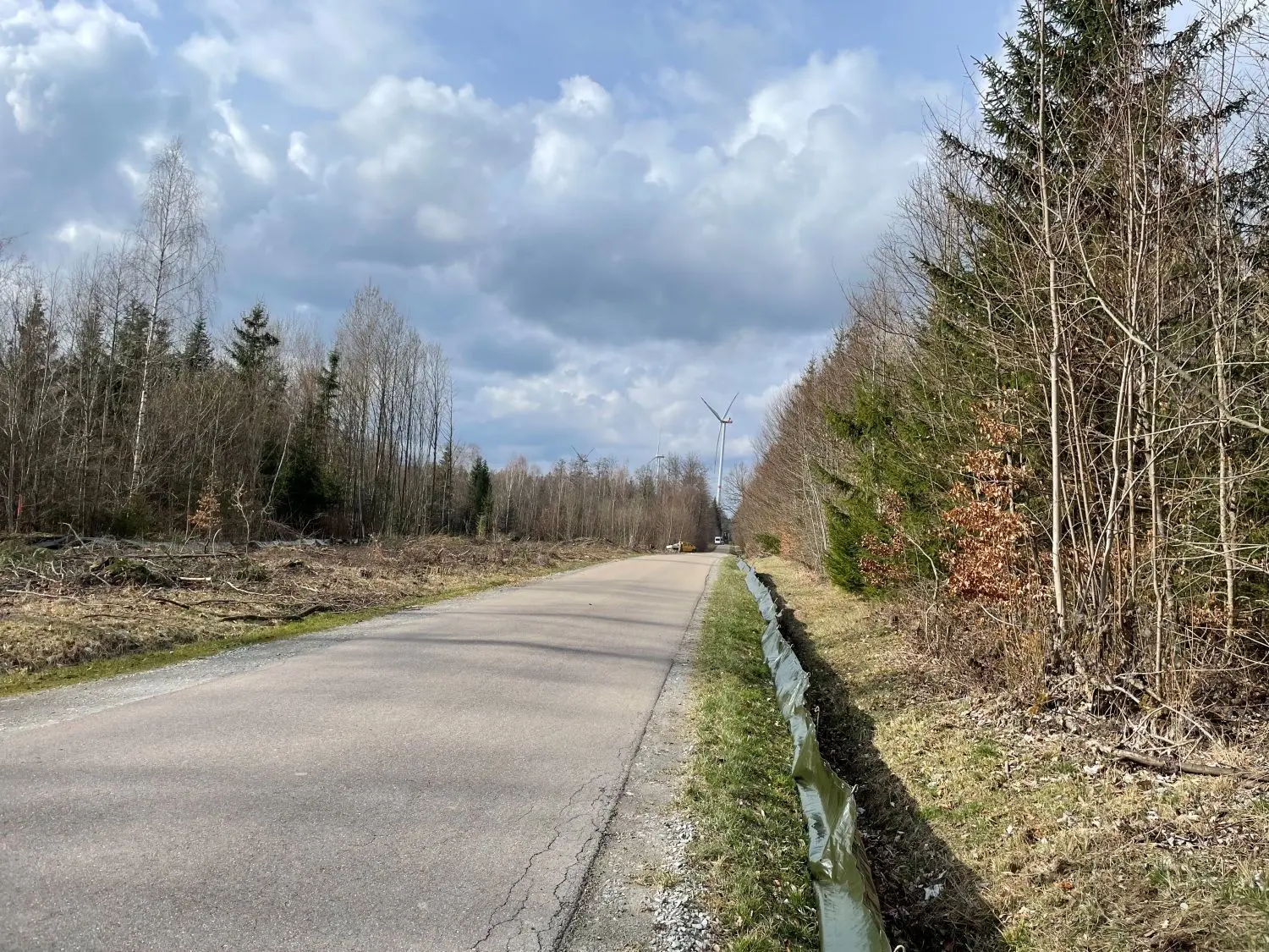 Der neue Amphibienschutzzaun an der Kohlenstraße.