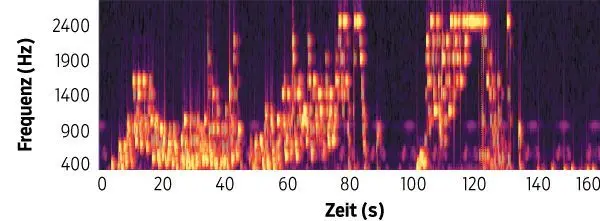 Michael Frauenfelds Musik-Experiment: Je höher die Erregung, desto höher die Frequenz. Ab Sekunde 100 beginnt die Plateau-Phase vor dem Höhepunkt.