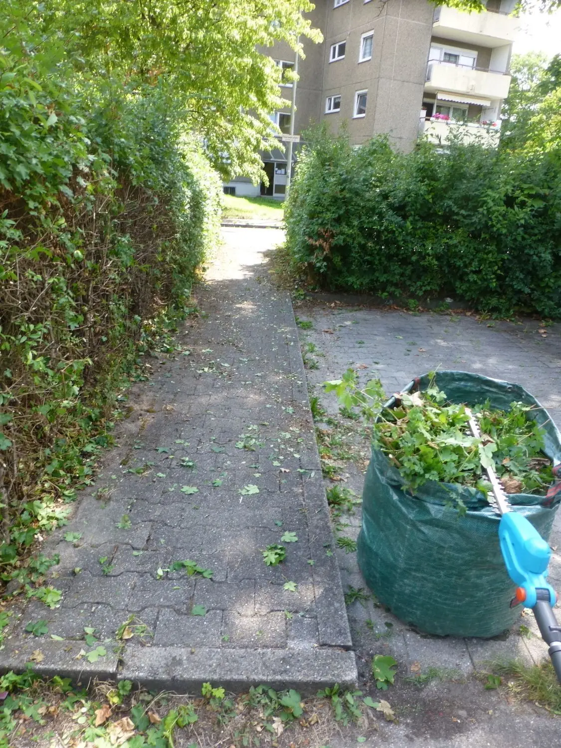Fußweg und Parkplätze in der Johannes-Palm-Straße sind regelmäßig zugewuchert, bemängeln dort die Mieter. Davon hatten sie genug und legten kürzlich selbst Hand an die Heckenschere.