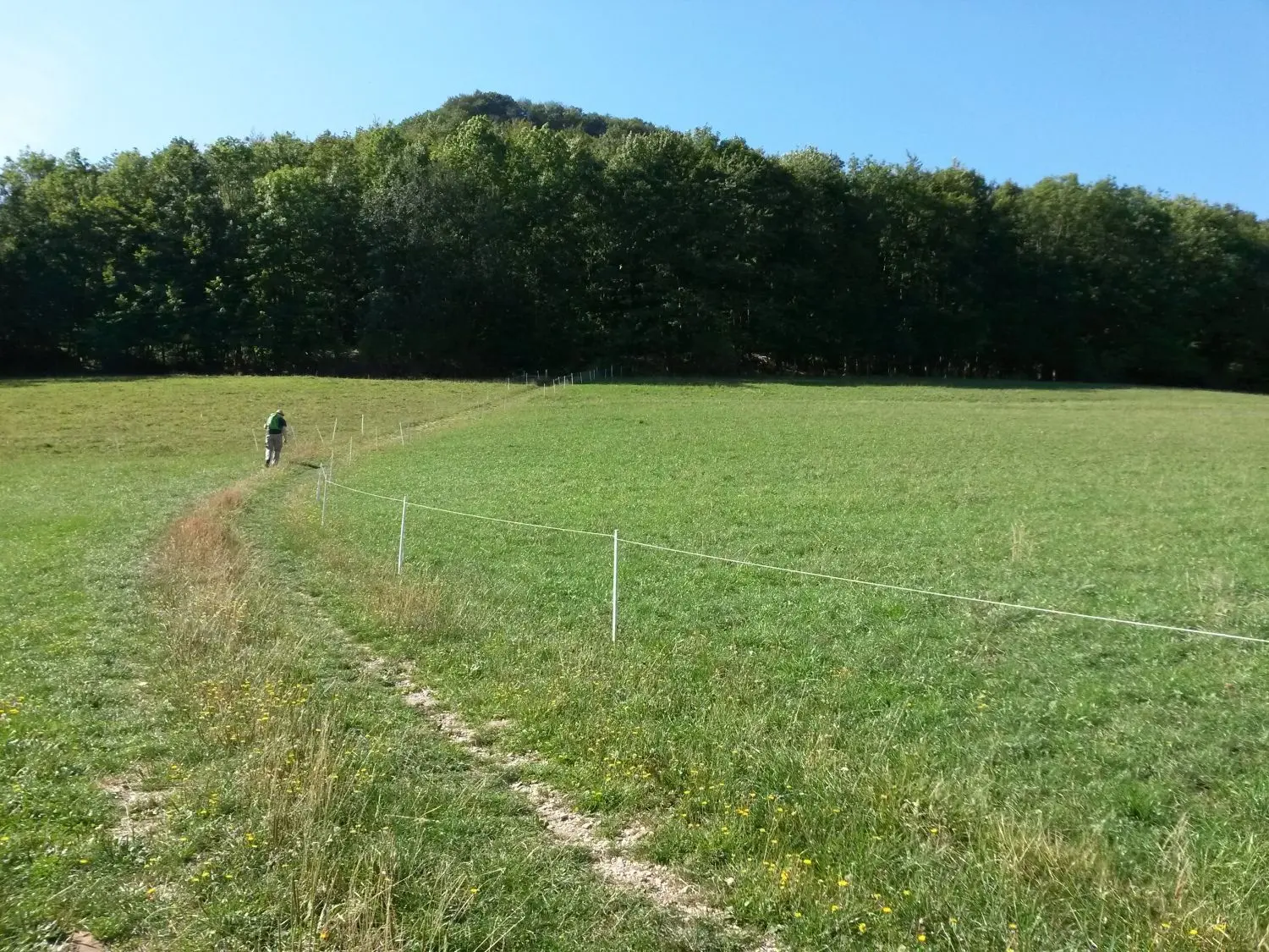 Unterhalb des Waldrandes stehen die Wiesen im Frühjahr voller bunter Blumen.