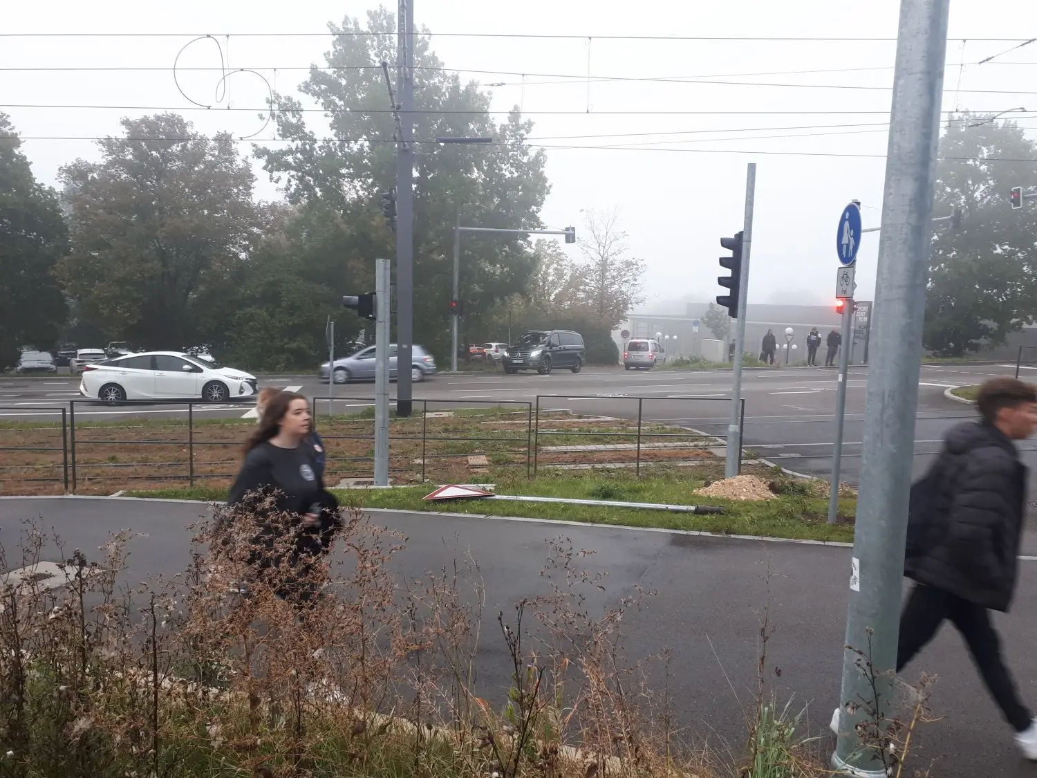 Zu Fuß und mit dem Auto sind die meisten gestern an die Schulen auf dem Kuhberg gekommen ⇥