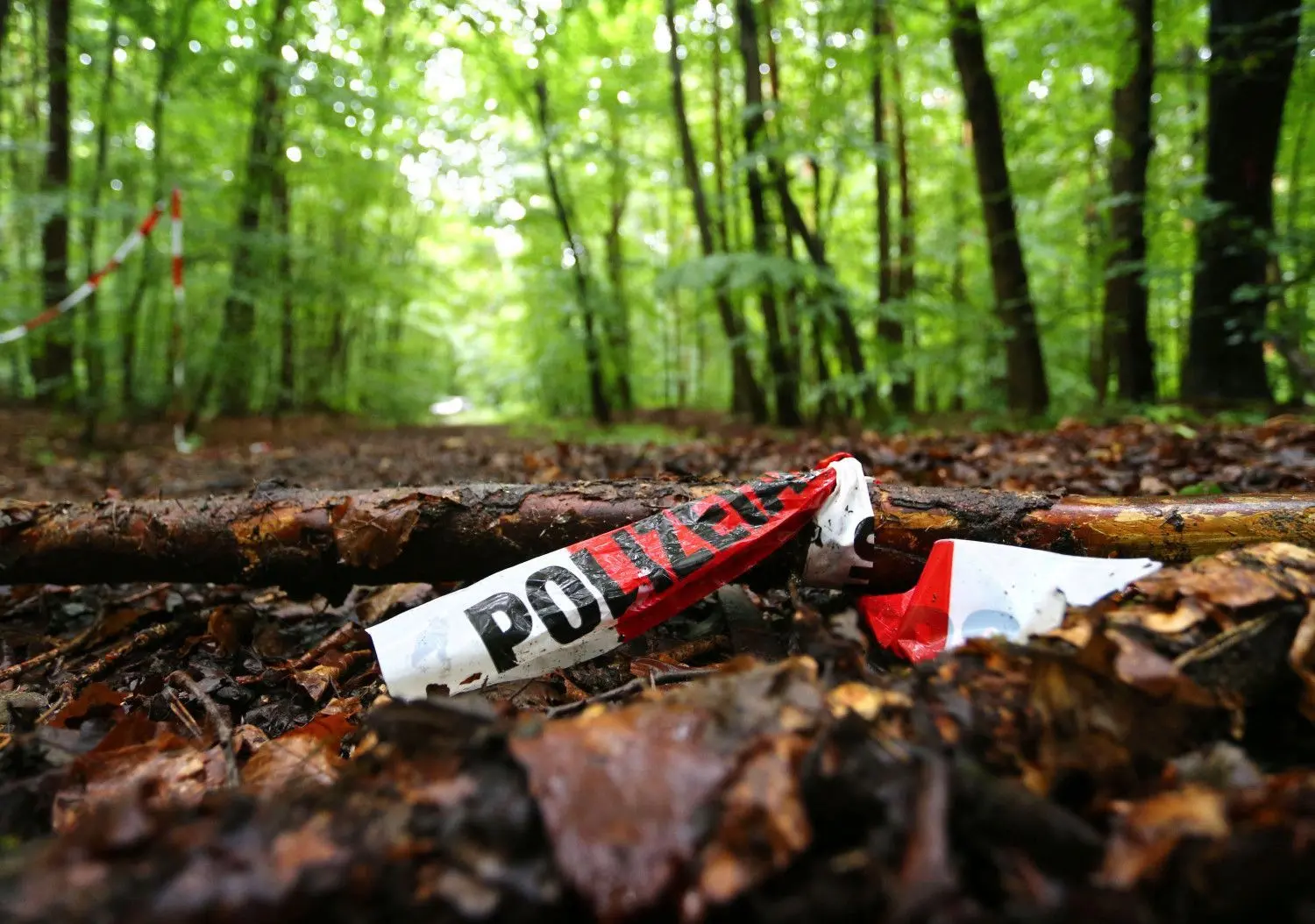 In einem Wald bei Kist (Bayern) wurde der entführte Markus Würth schließlich gefunden. ⇥