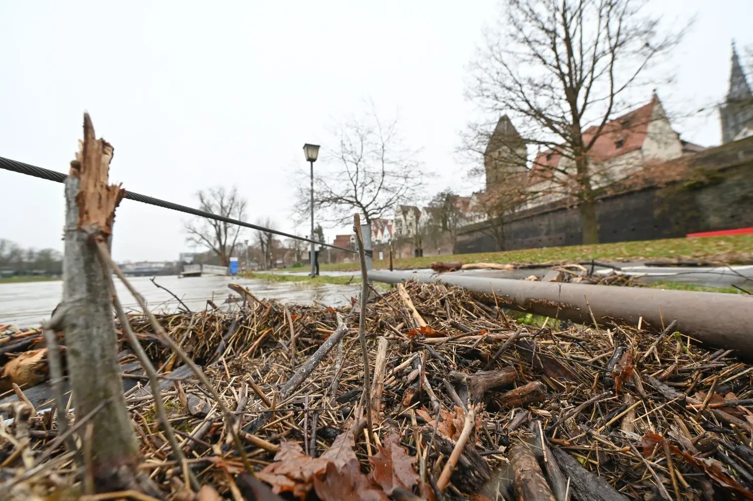 Eine Menge Treibholz hat das Hochwasser bereits am Ulmer Donauufer abgeladen.