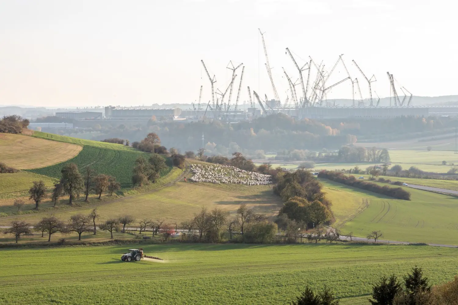 Der Blick von Hausen nach Ehingen zeigt eine Schafherde und die Kräne von Liebherr.
