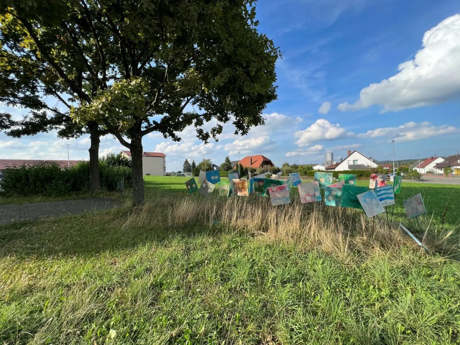 Auf diese Wiese kommt der neue Netto-Markt.⇥