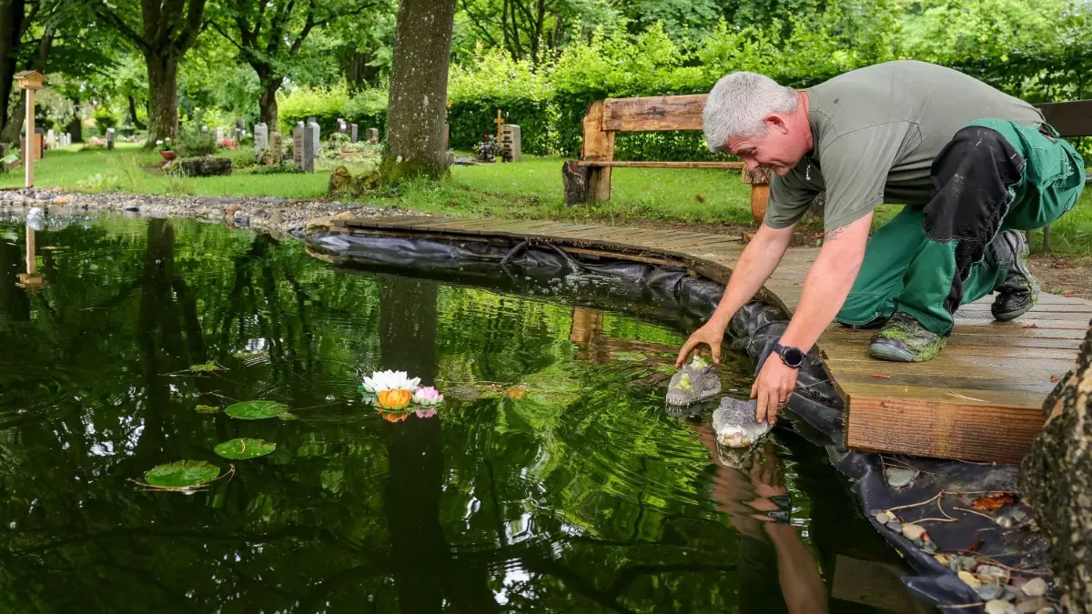 Friedhofsvorarbeiter Denny Trommer mit den Krokodilen. Sie mussten aus dem Teich entfernt werden. ⇥
Ulm - Söflinger Friedhof - Teich mit Krokodil