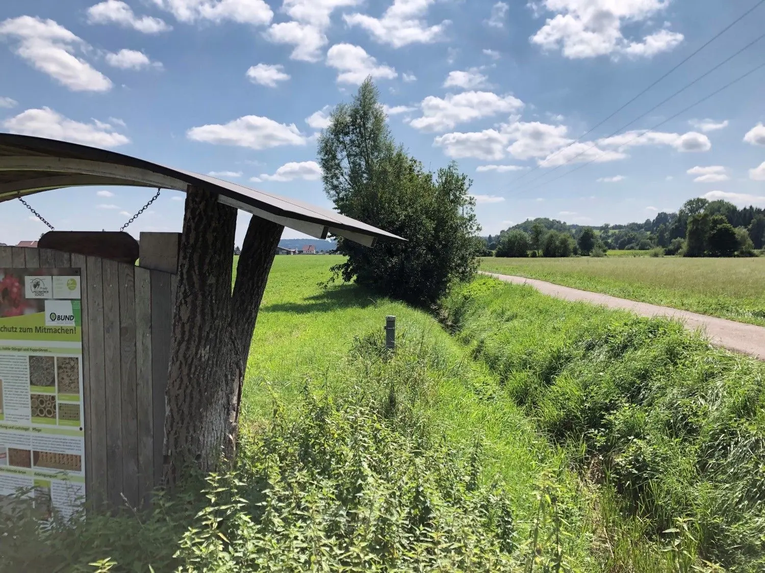 Der Riedgraben (rechts im Bild) soll feuchte Wiesen im Dietenheimer Westen  entwässern. Mancher Landwirt und Anwohner hätte ihn gern breiter und besser ausgeräumt. ⇥