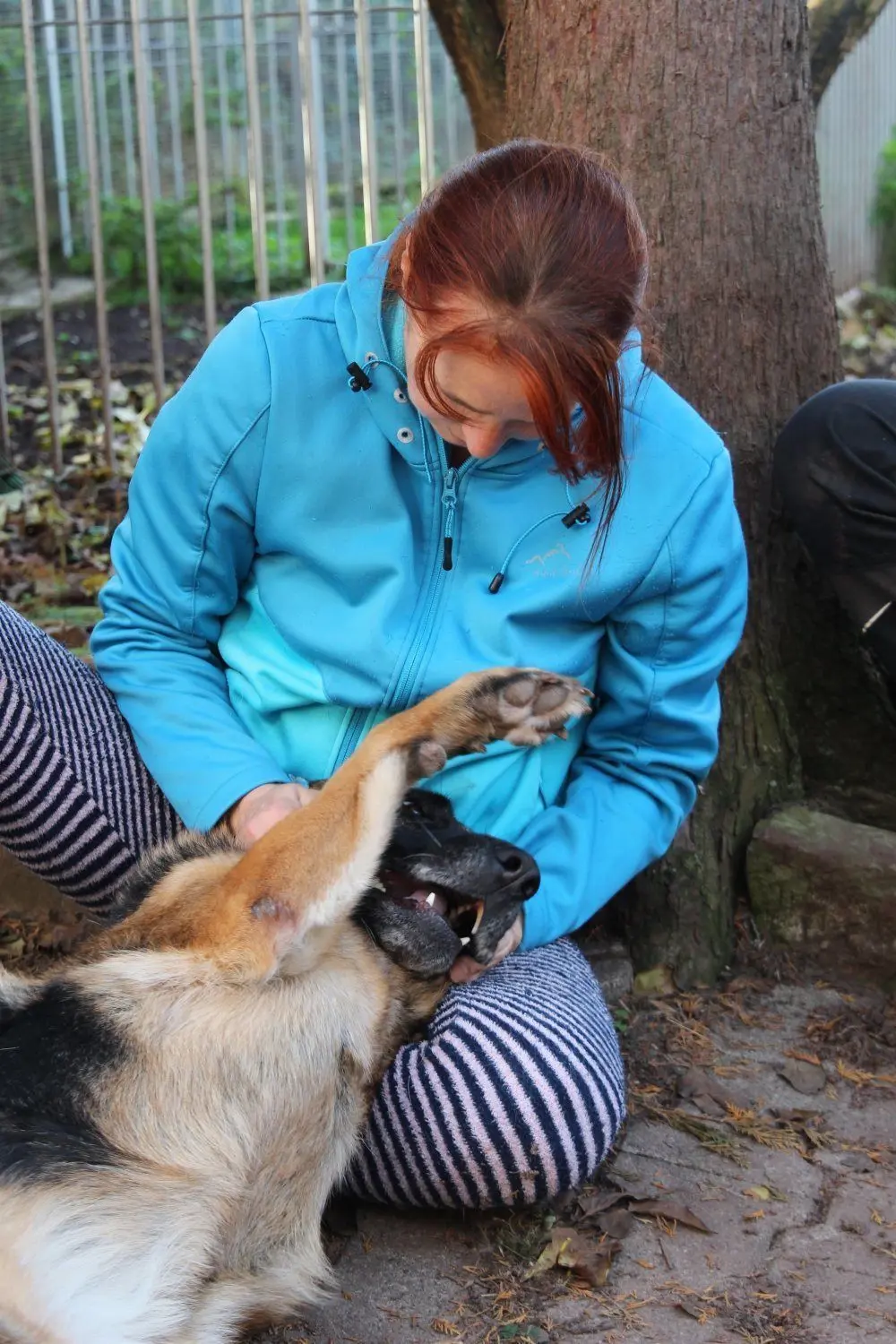 Birgit Poller mit dem dreibeinigen Schäferhund Milow. Das gehandicapte Tier liebt Streicheleinheiten.