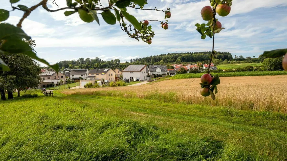 Das Baugebiet „Feiler II“ in Munderkingen. Wo derzeit noch Wiesen sind, soll das Quartier der Zukunft entstehen.
Baugebiet Feiler II Munderkingen