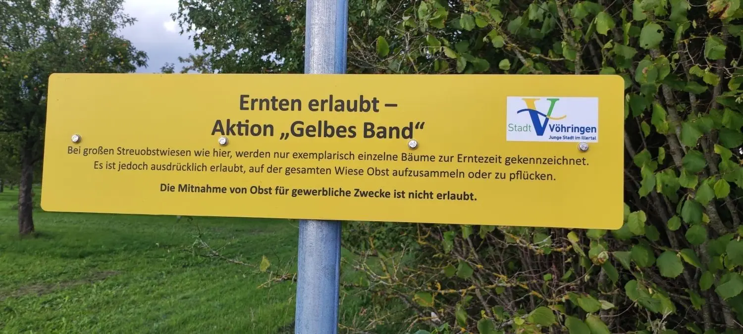 Vöhringen und 16 weitere Kommunen im Kreis Neu-Ulm beteiligen sich an der Aktion "Gelbes Band". An markierten Bäumen darf Obst geerntet werden. ⇥