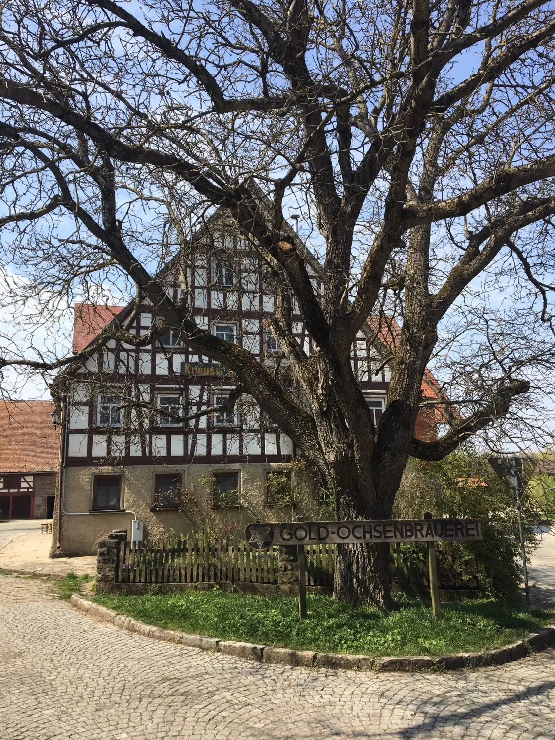 Hat in Hohenlohe und weit darüber hinaus einen legendären Ruf: die Wirtschaft der Goldochsen-Brauerei in Spielbach. Hier wird ein Gericht serviert, das es fast nirgendwo sonst mehr gibt. ⇥