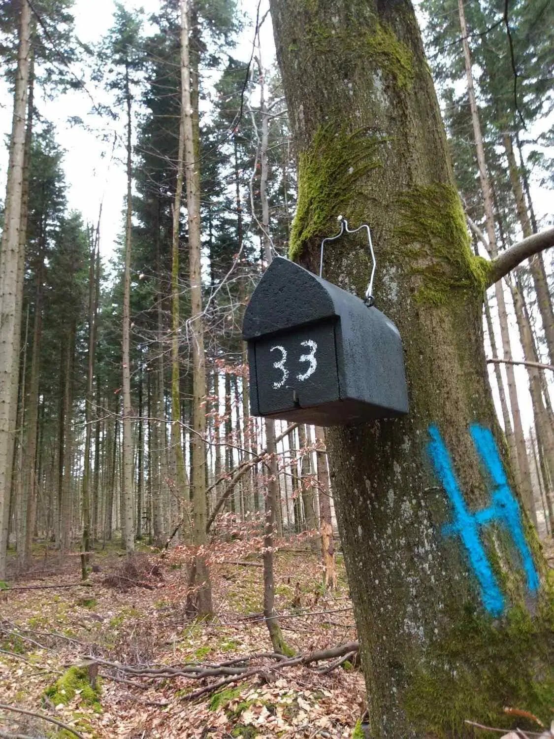 Auch Nisthilfen werden gebaut.