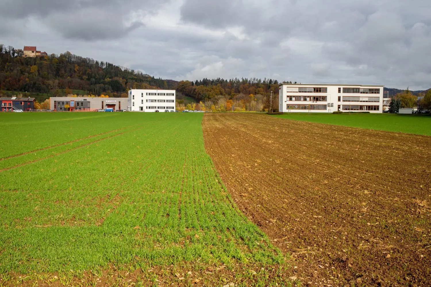 Wird die landwirtschaftlich genutzte Fläche in ein Gewerbegebiet umgewandelt? Die Donzdorfer haben das letzte Wort. ⇥