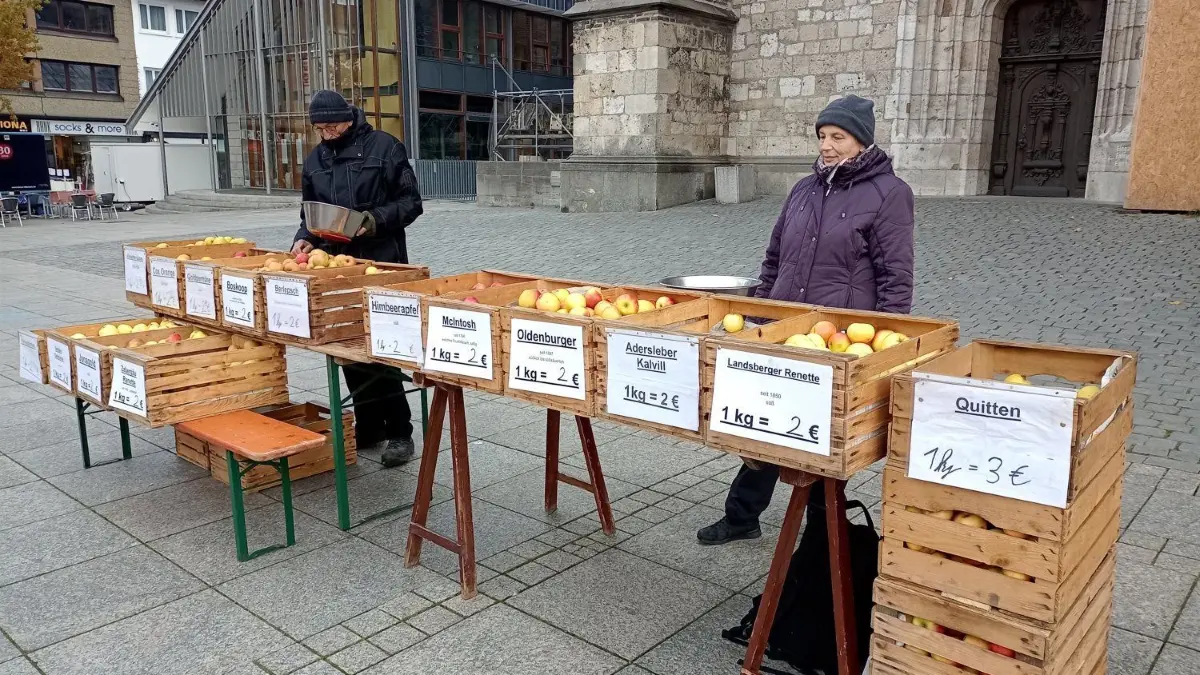 Mehr als ein Duzend verschiedene Apfelsorten verkauft Familie Holzschuh zurzeit auf dem Wochenmarkt in Ulm.
Äpfel von der Familie Holzschuh