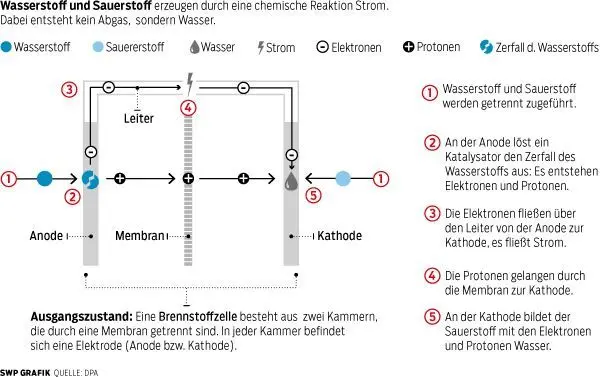 SWP GRAFIK  QUELLE: DPA