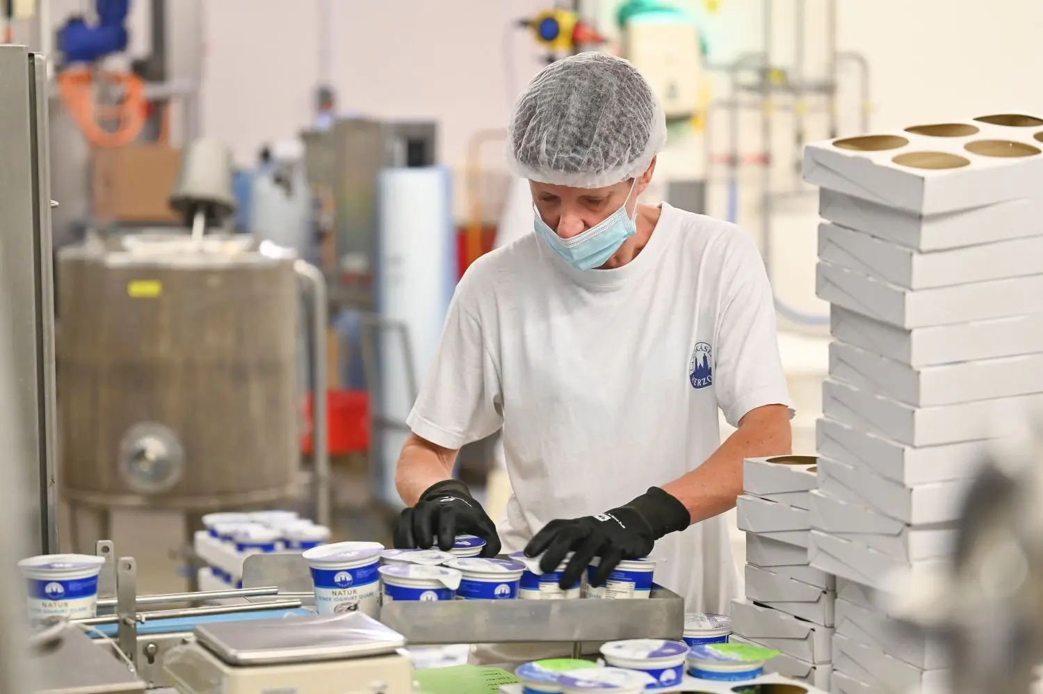 Besuch in der Produktion in der Landkäserei Herzog in Roggenburg-Schießen.